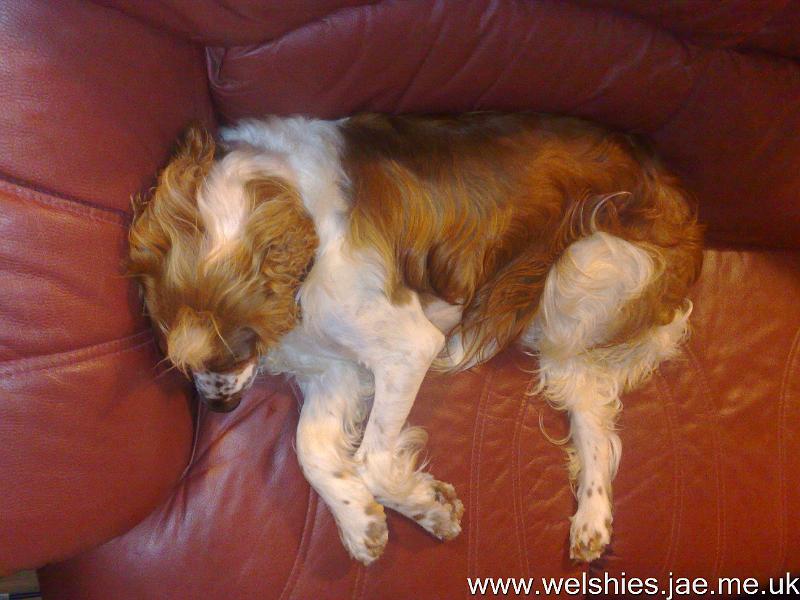 2010-08-29 07.jpg - Oh dear, Mummy found me - I'm not meant to be up here!